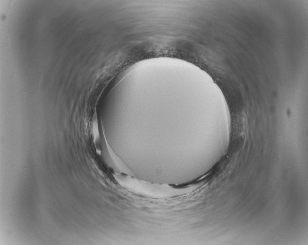 X0000059230039200511041253