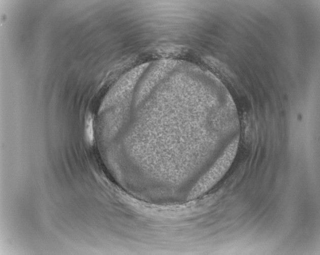 X0000059230042200511041253