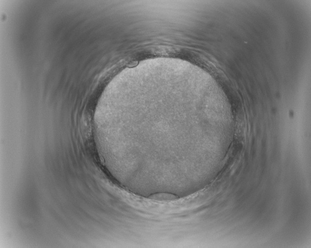 X0000059230043200511041253