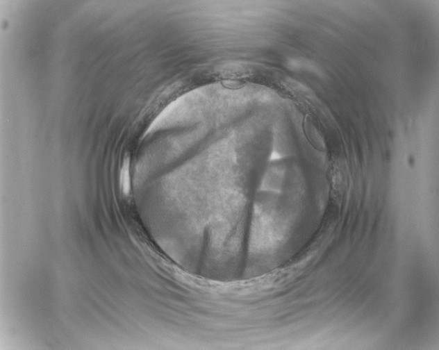 X0000059230046200511041253