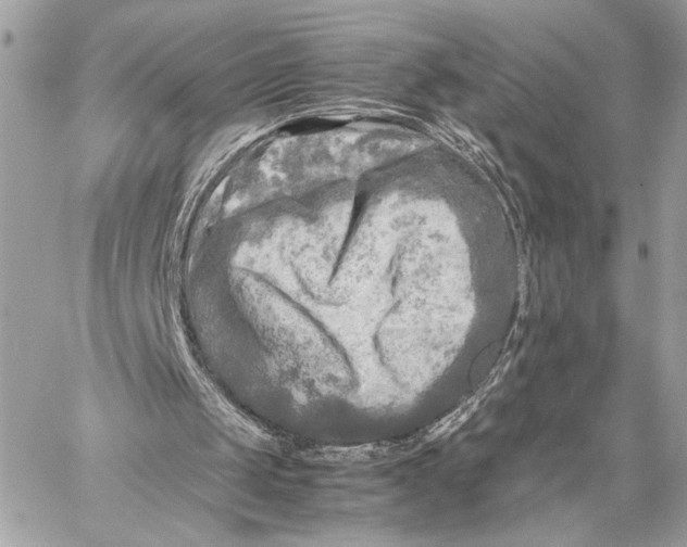 X0000059230049200511041252