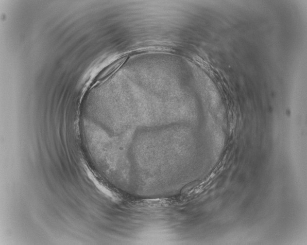 X0000059230050200511041252