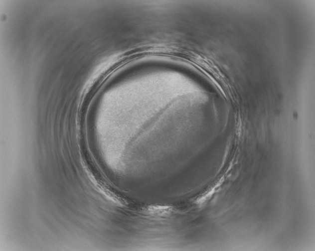 X0000059230055200511041252