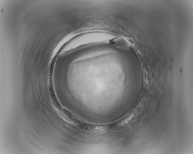 X0000059230056200511041252