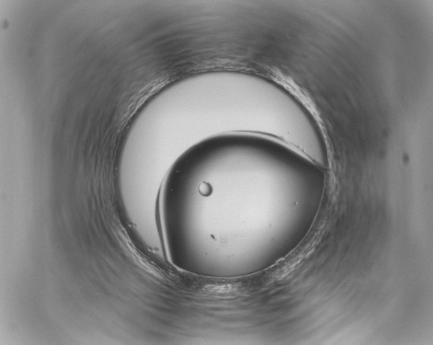 X0000059230057200511041252