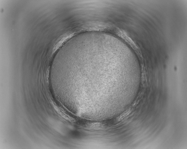 X0000059230058200511041252