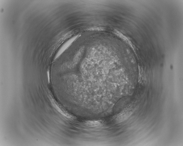 X0000059230061200511041252