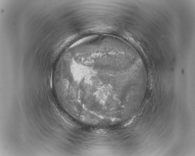 X0000059230062200511041252