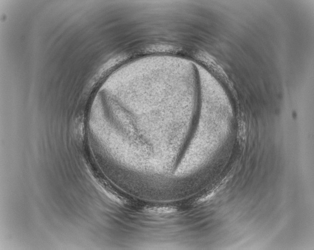 X0000059230063200511041252