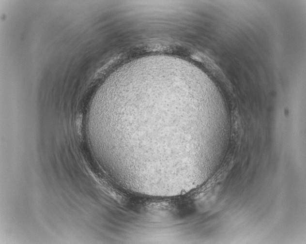 X0000059230066200511041252