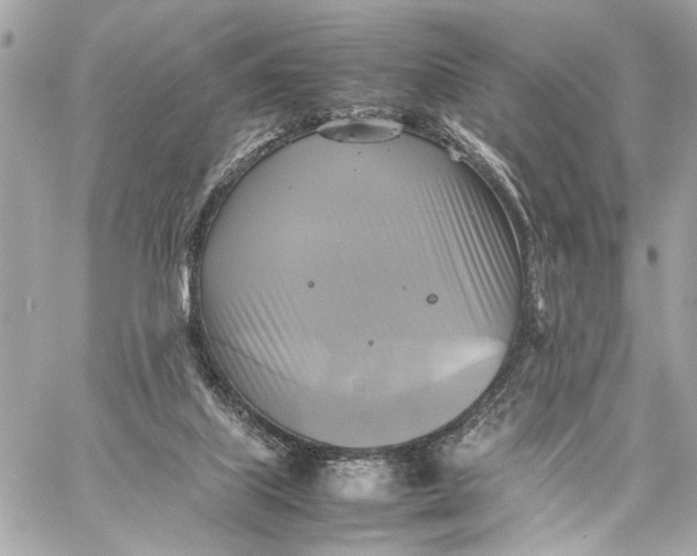 X0000059230067200511041252