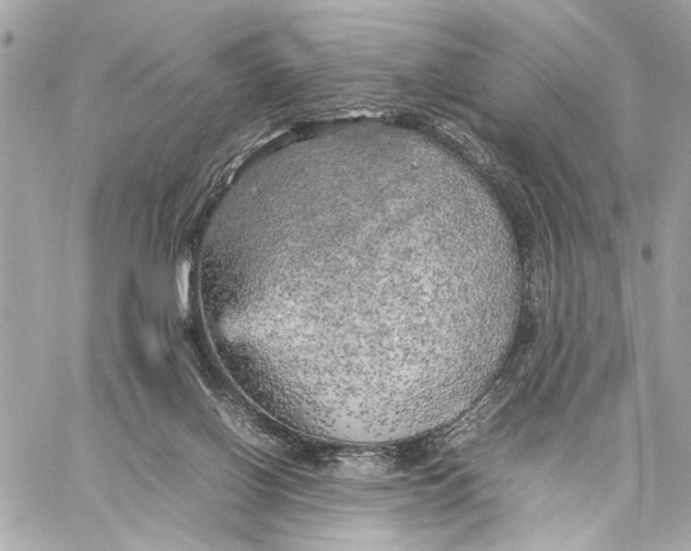 X0000059230070200511041252