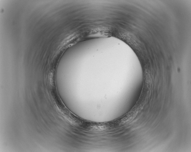 X0000059230071200511041252