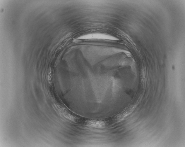 X0000059230073200511041252