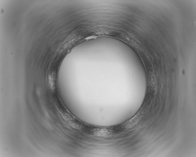 X0000059230074200511041252