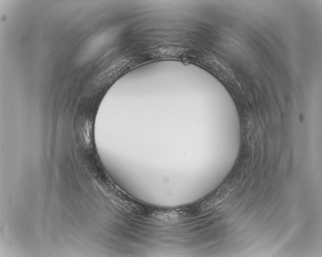 X0000059230075200511041252