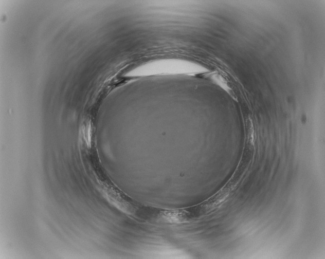 X0000059230076200511041252