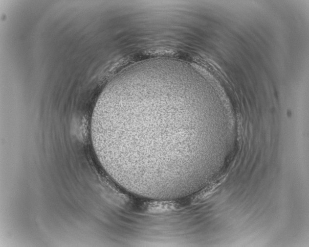 X0000059230077200511041252