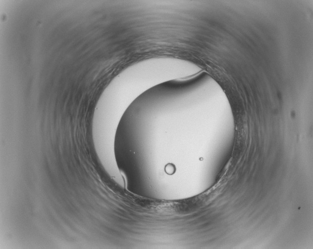 X0000059230078200511041252