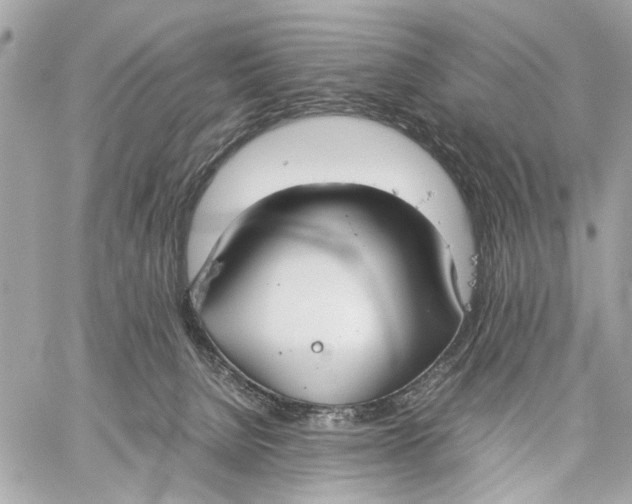 X0000059230080200511041253