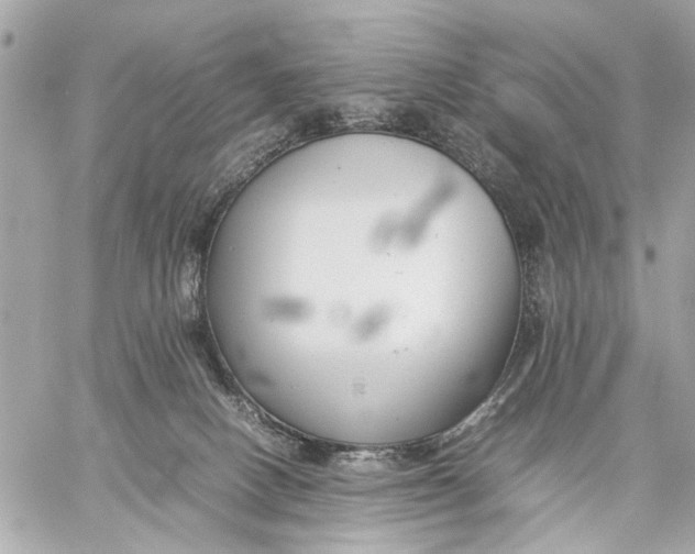 X0000059230082200511041253