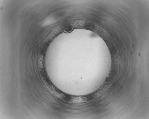 X0000059230083200511041253