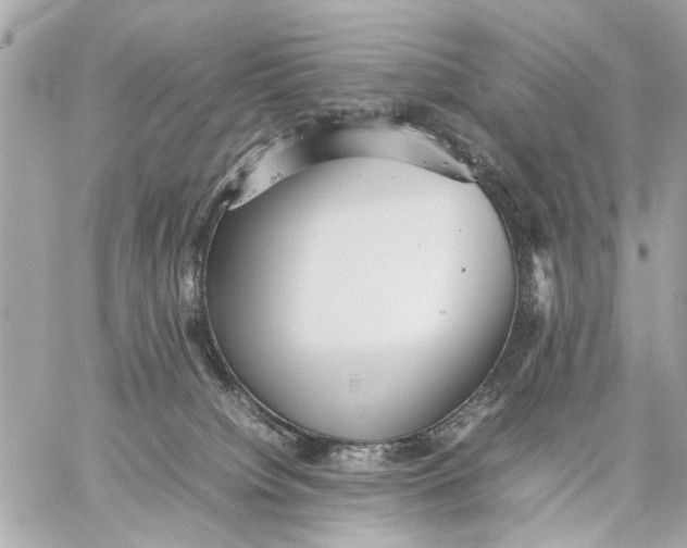 X0000059230084200511041253