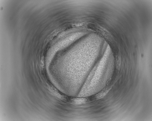 X0000059230085200511041253