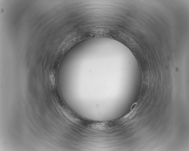 X0000059230086200511041253