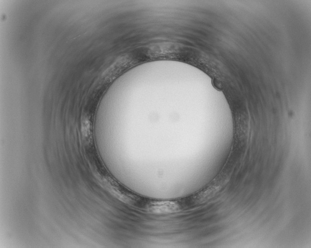 X0000059230087200511041253