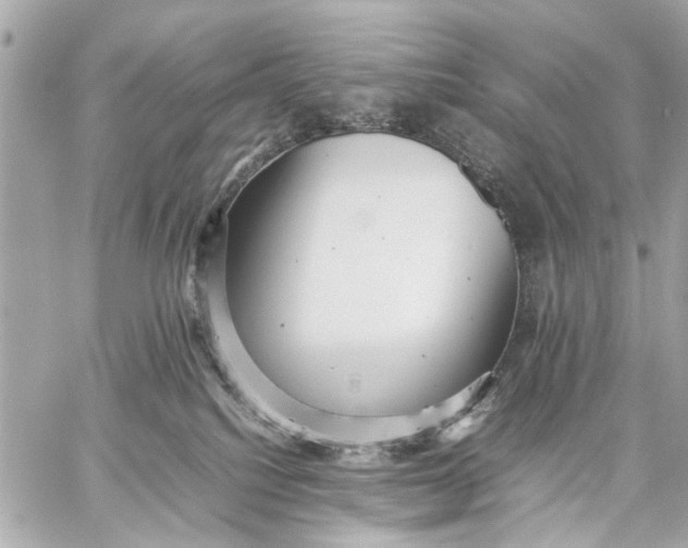 X0000059230088200511041253