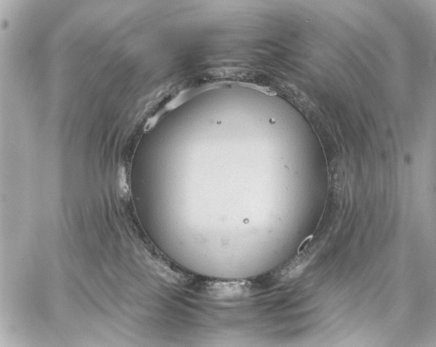 X0000059230089200511041253