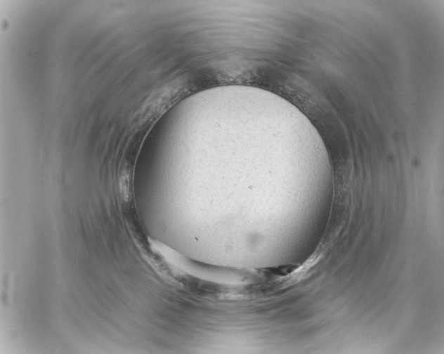 X0000059230090200511041253