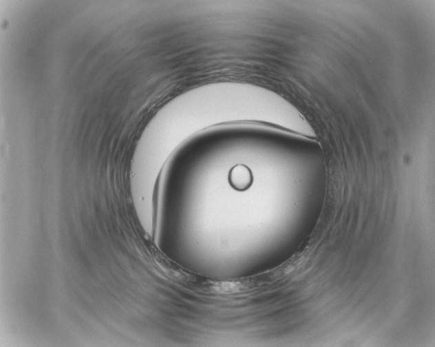 X0000059230091200511041253