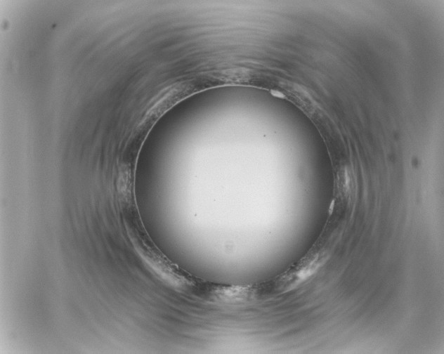 X0000059230092200511041253