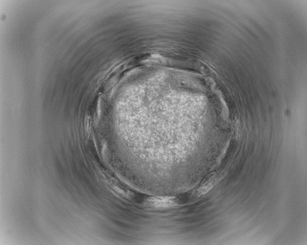 X0000059230093200511041253