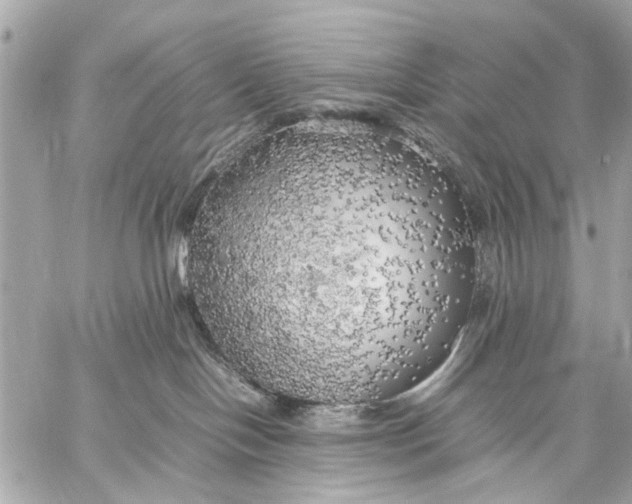 X0000059230094200511041253