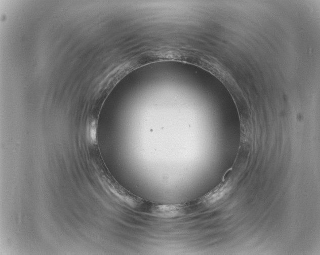 X0000059230095200511041253