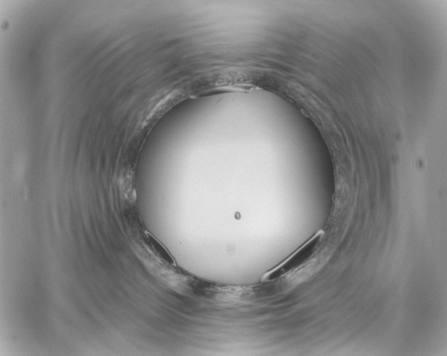 X0000059230096200511041253