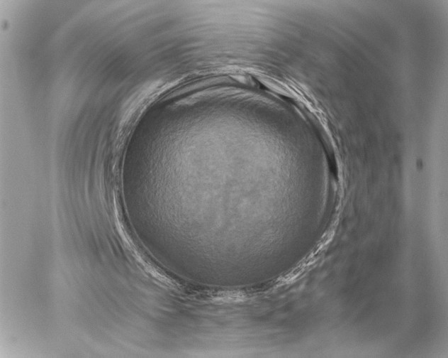 X0000059230097200511041252