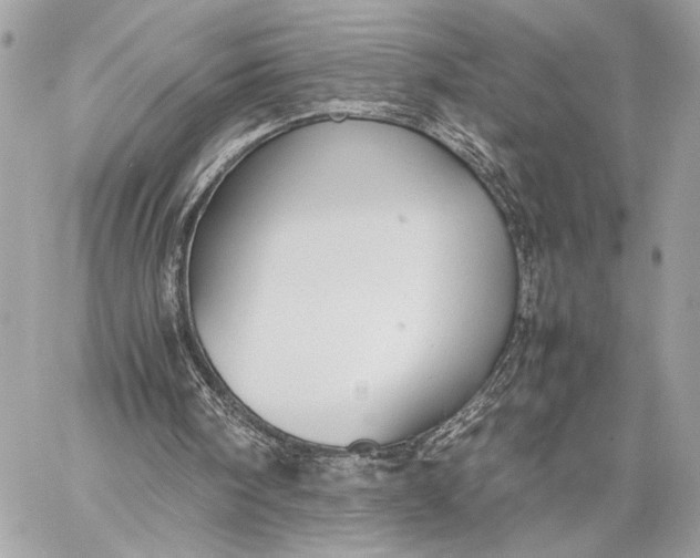 X0000059230098200511041252