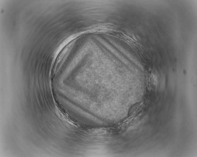 X0000059230100200511041252