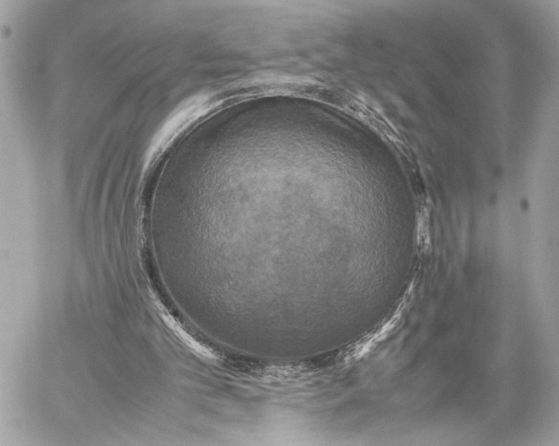 X0000059230101200511041252