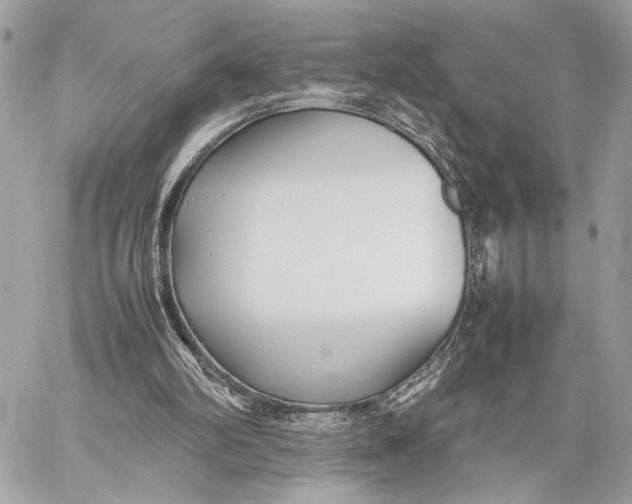 X0000059230102200511041252