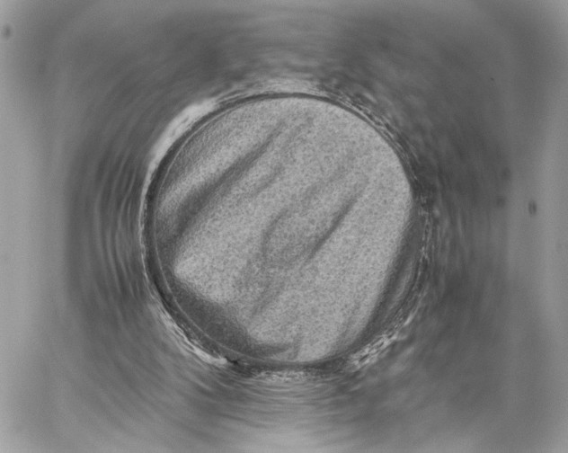 X0000059230104200511041252