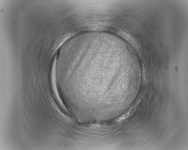 X0000059230105200511041252