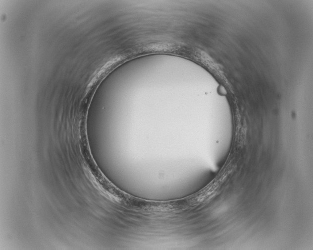 X0000059230106200511041252