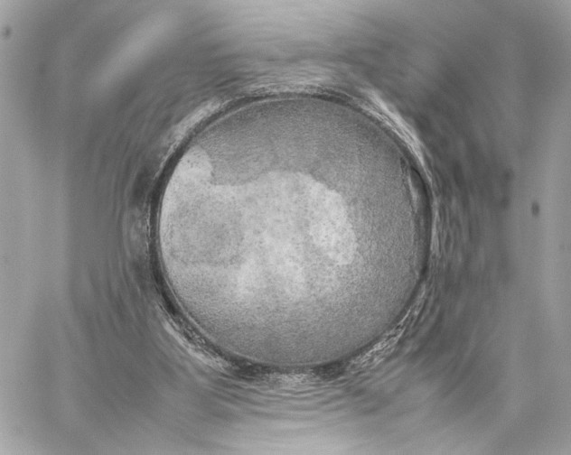 X0000059230107200511041252