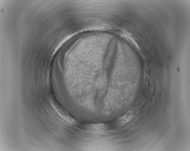 X0000059230108200511041252