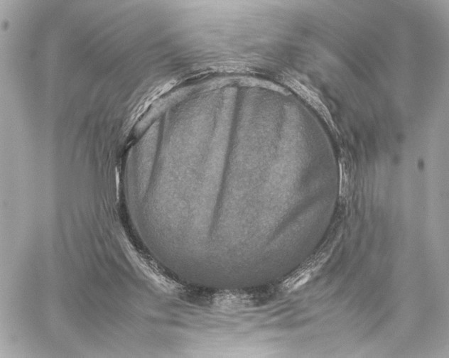 X0000059230109200511041252